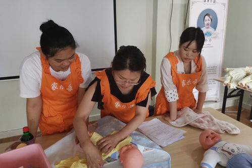 貴陽南明區家政服務公司收費標準詳解