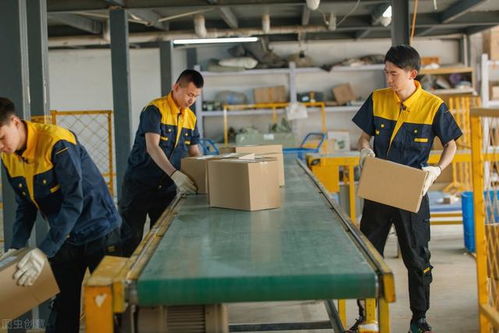 馬云預言 后疫情時代，家政服務或成新財富風口