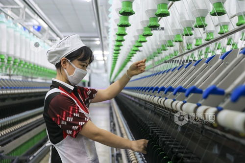 江西瑞昌 數(shù)字工廠助力產(chǎn)銷兩旺，針織品及原料批發(fā)蓬勃發(fā)展